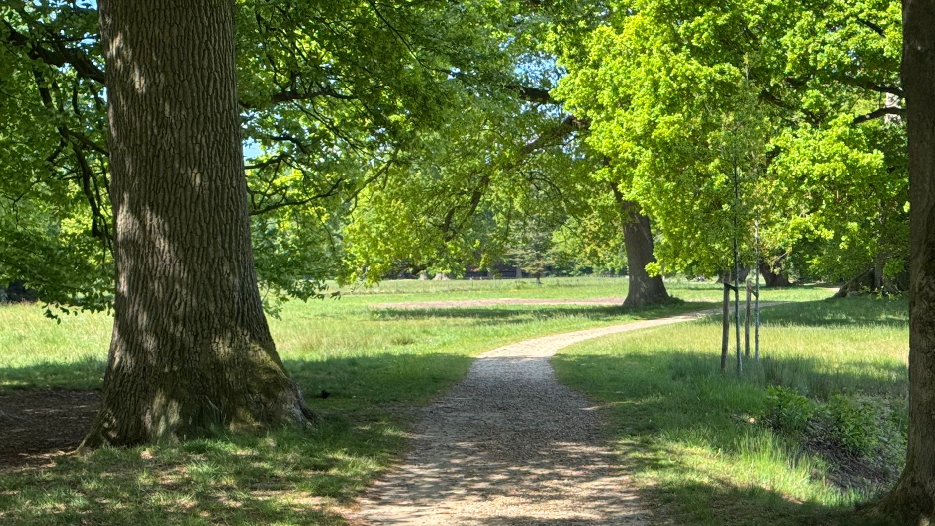 Lutte contre les nuisibles à Aulnay-sous-Bois